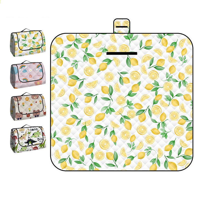 150*200CM Portable Picnic Mat  - đánh giá và giá Baby Products Moisturizer
